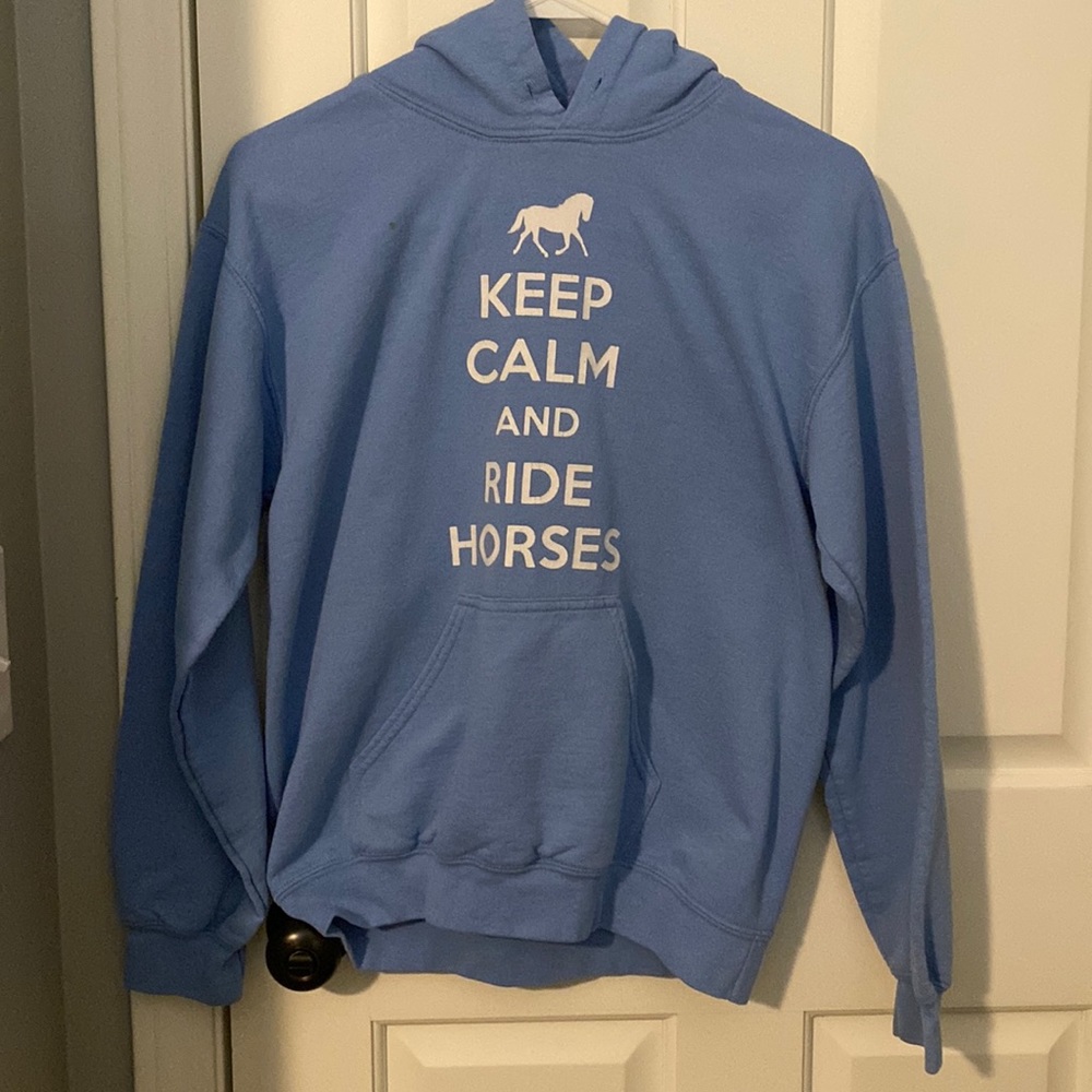 Light blue horse hoodie